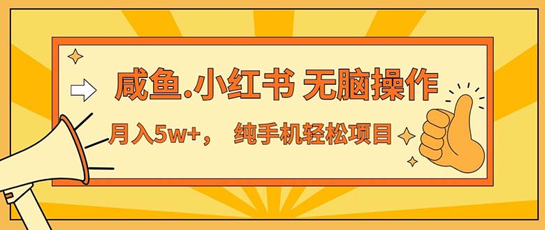 （11524期）2024最赚钱的项目，咸鱼，小红书无脑操作，每单利润500+，轻松月入5万+…-大鱼聊项目