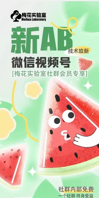 梅花实验室2024年AB技术视频号AB合成破解版-大鱼聊项目