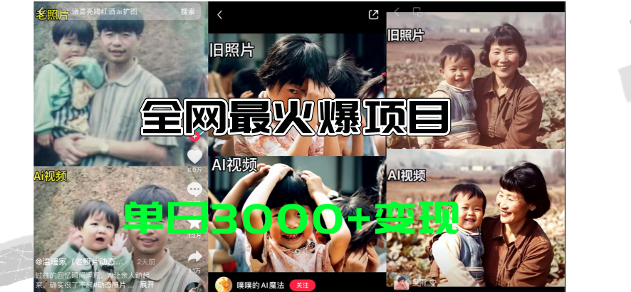 （11546期）全网爆火的AI让老照片动起来教程，蹭热点日赚3000+，内含免费工具一键…-大鱼聊项目