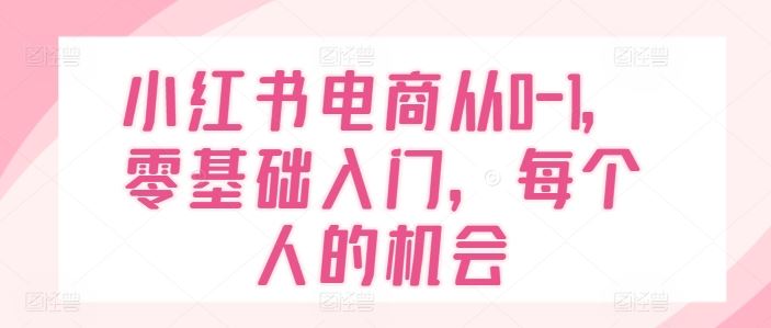 小红书电商从0-1，零基础入门，每个人的机会-大鱼聊项目