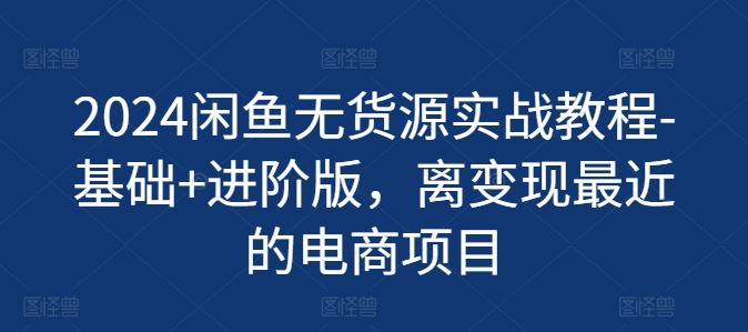 2024闲鱼无货源实战教程-基础+进阶版，离变现最近的电商项目-大鱼聊项目