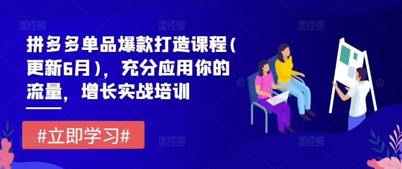 拼多多单品爆款打造课程(更新6月)，充分应用你的流量，增长实战培训-大鱼聊项目