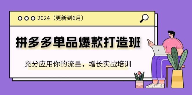 （11556期）2024拼多多-单品爆款打造班(更新6月)，充分应用你的流量，增长实战培训-大鱼聊项目