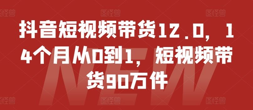 抖音短视频带货12.0，14个月从0到1，短视频带货90万件-大鱼聊项目