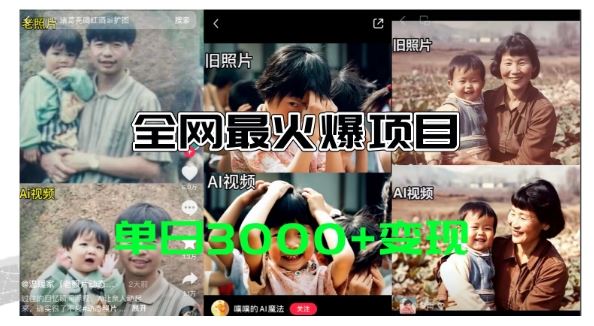 全网爆火的AI让老照片动起来教程，蹭热点日赚3k+，内含免费工具一键可生成【揭秘】-大鱼聊项目