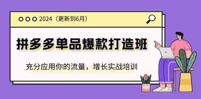 2024拼多多单品爆款打造班，充分应用你的流量，增长实战培训(更新6月)-大鱼聊项目