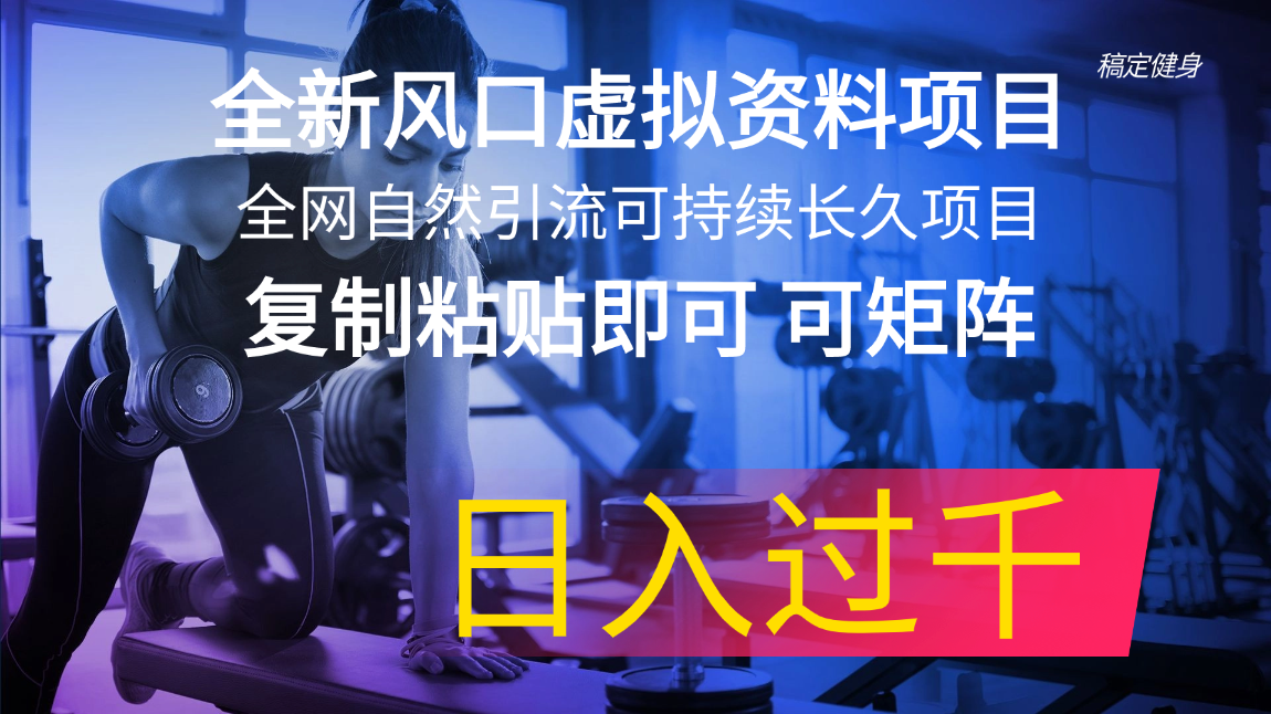 （11587期）全新风口虚拟资料项目 全网自然引流可持续长久项目 复制粘贴即可可矩阵…-大鱼聊项目