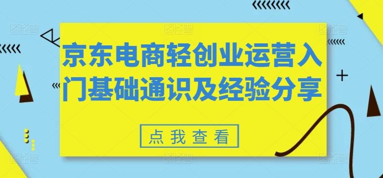 京东电商轻创业运营入门基础通识及经验分享-大鱼聊项目