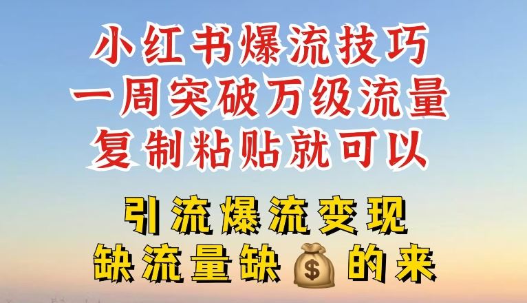 小红书爆流技巧，一周突破万级流量，复制粘贴就可以，引流爆流变现【揭秘】-大鱼聊项目