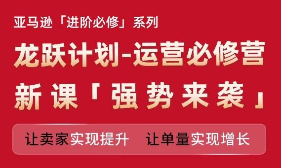 亚马逊进阶必修系列，龙跃计划-运营必修营新课，让卖家实现提升 让单量实现增长-大鱼聊项目