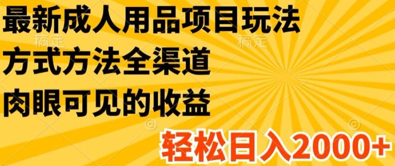 最新成人用品项目玩法，方式方法全渠道，轻松日入2K+【揭秘】-大鱼聊项目