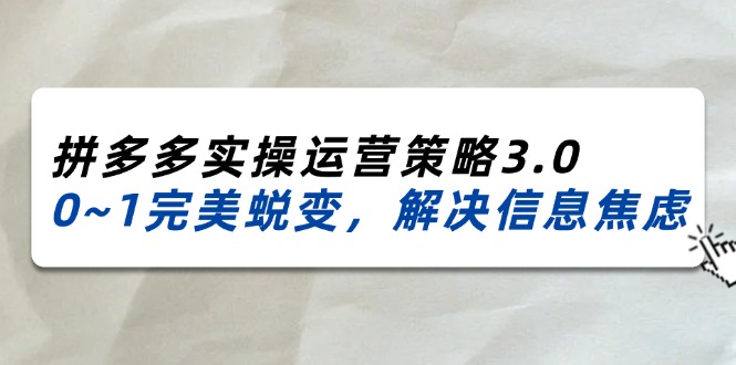（11658期）2024_2025拼多多实操运营策略3.0，0~1完美蜕变，解决信息焦虑（38节）-大鱼聊项目