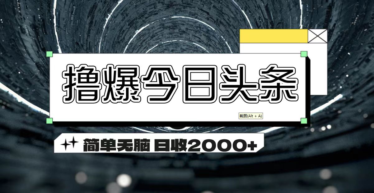 （11665期）撸爆今日头条 简单无脑操作 日收2000+-大鱼聊项目