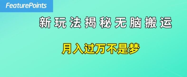 简单操作，每天50美元收入，搬运就是赚钱的秘诀【揭秘】-大鱼聊项目