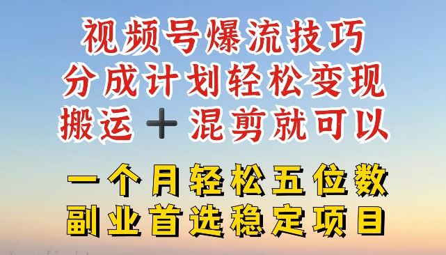 视频号爆流技巧，分成计划轻松变现，搬运 +混剪就可以，一个月轻松五位数稳定项目【揭秘】-大鱼聊项目