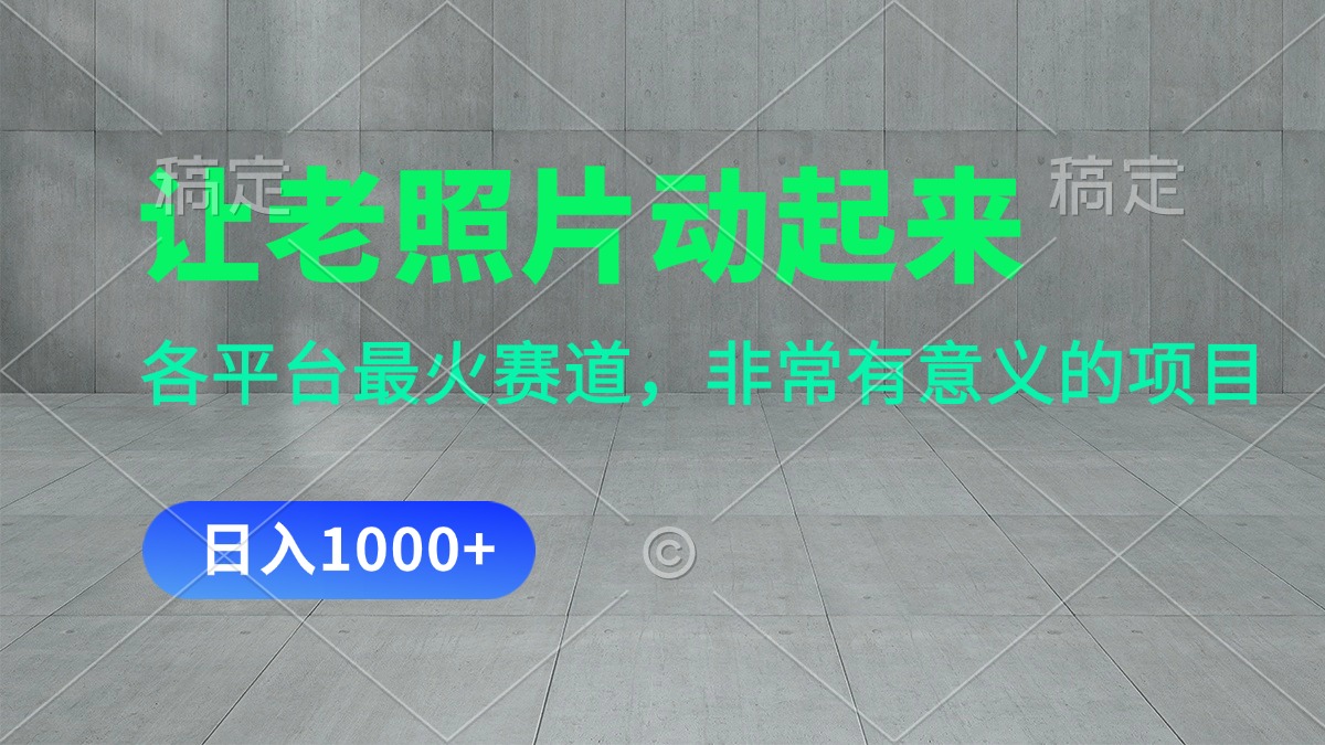 （11671期）让老照片动起来，一天变现1000+，各平台最火赛道，看完就会-大鱼聊项目