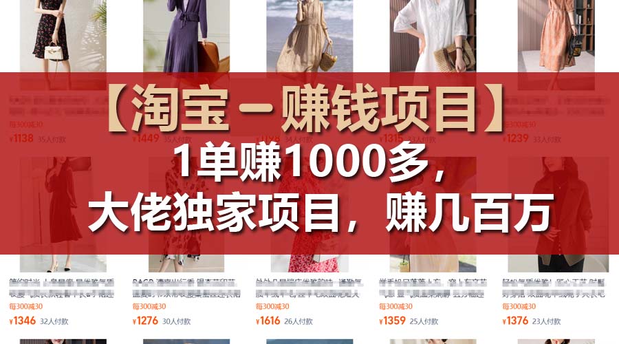 （11685期）【淘宝赚钱项目】1单可赚1000多，大佬独家项目，年赚几百万-大鱼聊项目