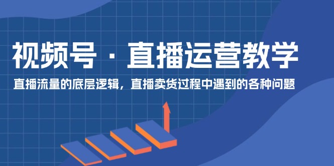 （11687期）视频号 直播运营教学：直播流量的底层逻辑，直播卖货过程中遇到的各种问题-大鱼聊项目