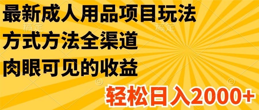 最新成人用品项目玩法，方式方法全渠道，肉眼可见的收益，轻松日入2000+-大鱼聊项目