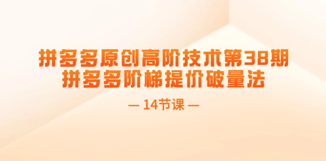 （11704期）拼多多原创高阶技术第38期，拼多多阶梯提价破量法（14节课）-大鱼聊项目