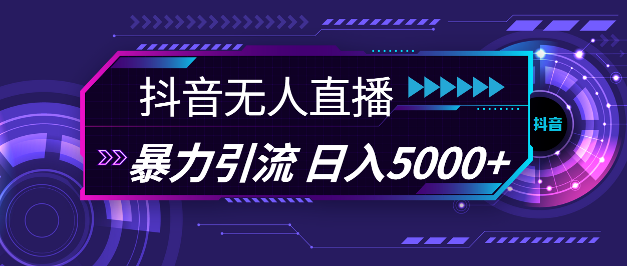 （11709期）抖音无人直播，暴利引流，日入5000+-大鱼聊项目