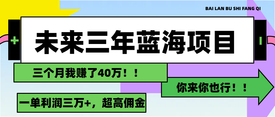 （11716期）未来三年，蓝海赛道，月入3万+-大鱼聊项目