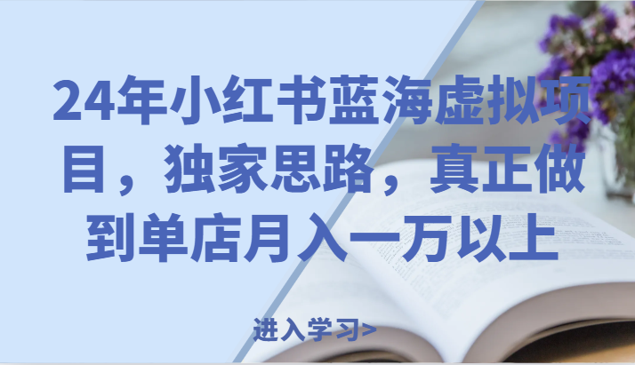24年小红书蓝海虚拟项目，独家思路，真正做到单店月入一万以上。-大鱼聊项目