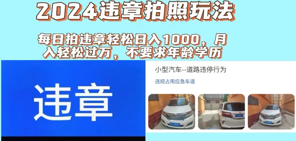 （11743期）2024违章拍照新玩法，推广躺赚+拍照赚钱双模式，日入1000+-大鱼聊项目