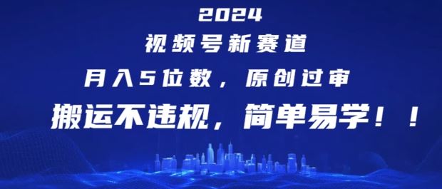 2024视频号新赛道，月入5位数+，原创过审，搬运不违规，简单易学【揭秘】-大鱼聊项目