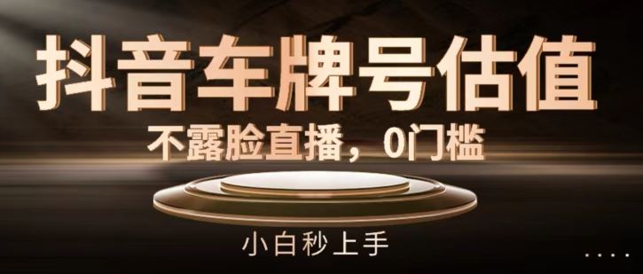 抖音车牌号估值，不露脸直播，0门槛，小白秒上手【揭秘】-大鱼聊项目