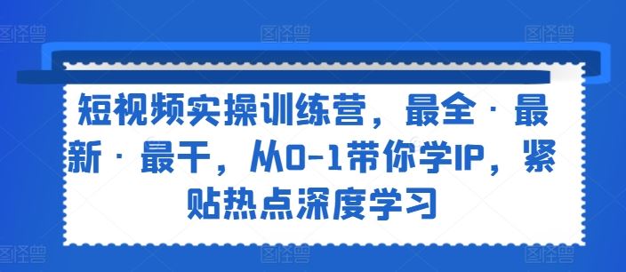 短视频实操训练营，最全·最新·最干，从0-1带你学IP，紧贴热点深度学习-大鱼聊项目
