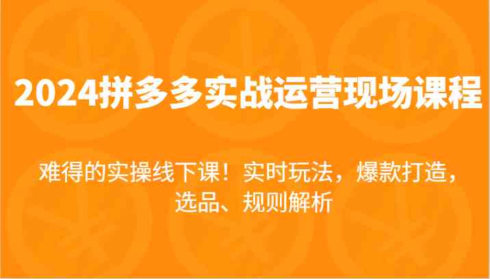 2024拼多多实战运营现场课，实时玩法，爆款打造，选品、规则解析，难得的实操线下课！-大鱼聊项目