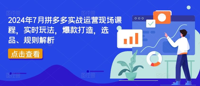 2024年7月拼多多实战运营现场课程，实时玩法，爆款打造，选品、规则解析-大鱼聊项目