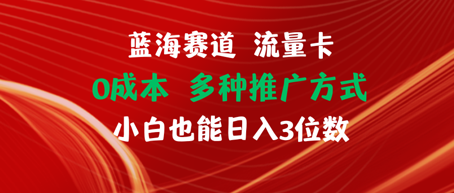 （11768期）蓝海赛道 流量卡 0成本 小白也能日入三位数-大鱼聊项目