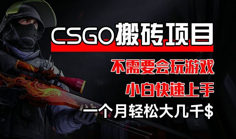 CSGO 装备搬砖项目，操作简单，不需要会玩游戏，小白也能快速上手，一个月轻松大几千【揭秘】-大鱼聊项目
