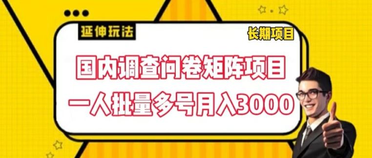 国内调查问卷矩阵项目，一人批量多号月入3000【揭秘】-大鱼聊项目