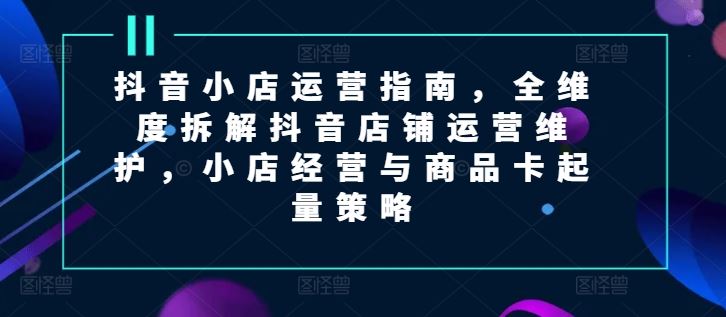 抖音小店运营指南，全维度拆解抖音店铺运营维护，小店经营与商品卡起量策略-大鱼聊项目