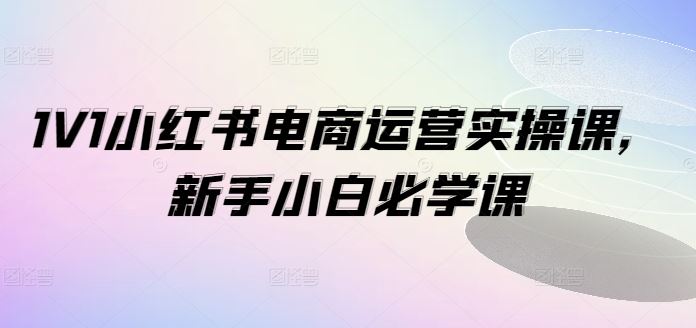 1V1小红书电商运营实操课，新手小白必学课-大鱼聊项目