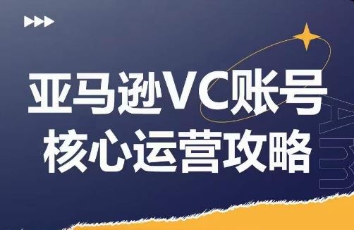 亚马逊VC账号核心玩法解析，实战经验拆解产品模块运营技巧，提升店铺GMV，有效提升运营利润-大鱼聊项目