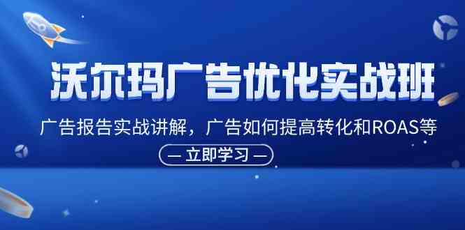 沃尔玛广告优化实战班，广告报告实战讲解，广告如何提高转化和ROAS等-大鱼聊项目