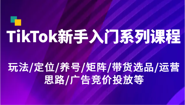 TikTok新手入门系列课程，玩法/定位/养号/矩阵/带货选品/运营思路/广告竞价投放等-大鱼聊项目