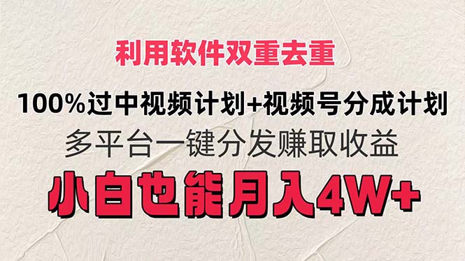 （11862期）利用软件双重去重，100%过中视频+视频号分成计划小白也可以月入4W+-大鱼聊项目