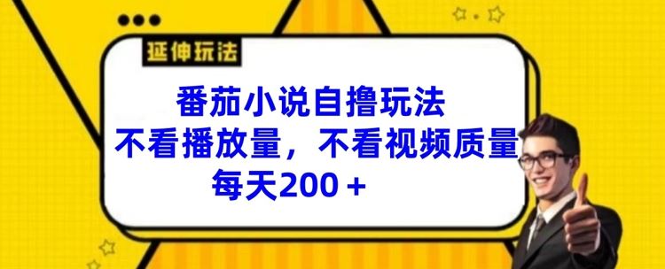 番茄小说自撸玩法，不看播放量，不看视频质量，每天200+【揭秘】-大鱼聊项目