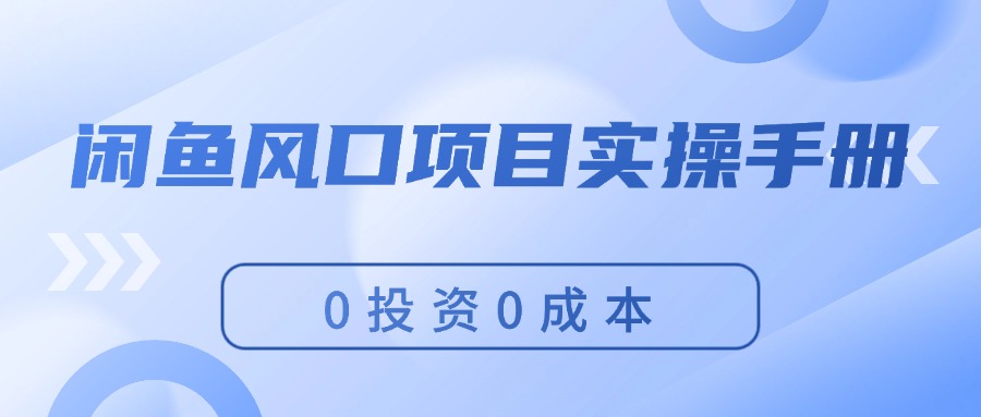 （11923期）闲鱼风口项目实操手册，0投资0成本，让你做到，月入过万，新手可做-大鱼聊项目