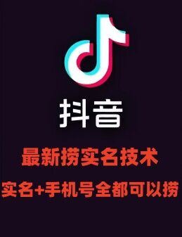 最新技术抖音捞实名+捞手机号技术，抖音直播封禁释放十名/手机号，直接替换出来!-大鱼聊项目