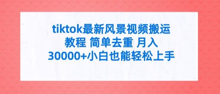 tiktok最新风景视频搬运教程 简单去重 月入3W+小白也能轻松上手【揭秘】-大鱼聊项目