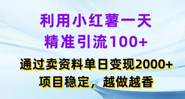 利用小红书一天精准引流100+，通过卖项目单日变现2k+，项目稳定，越做越香【揭秘】-大鱼聊项目