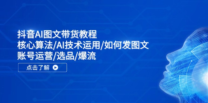 （11958期）抖音AI图文带货教程：核心算法/AI技术运用/如何发图文/账号运营/选品/爆流-大鱼聊项目