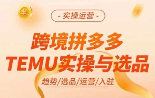 跨境拼多多TEMU实操与选品，多多temu跨境选品运营实操-大鱼聊项目