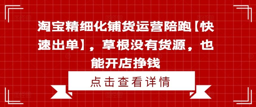 淘宝精细化铺货运营陪跑【快速出单】，草根没有货源，也能开店挣钱-大鱼聊项目
